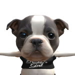 @pugsgamer44