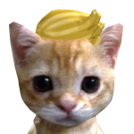 SSSSSSSARAHF