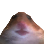 @chumchum200710