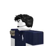 @fmsdgipb