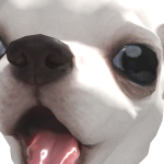 @heyheyjayne