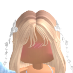 @bobbyDog4321