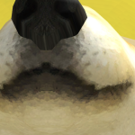 @DogeShadowDragon