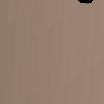 @19x333