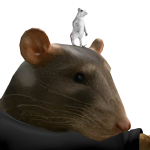 Ratjacks