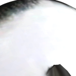 Ar104287