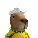 @PAUGAMERFOREVER