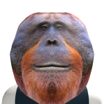 @brokzz2006