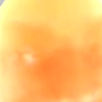 @27lmack