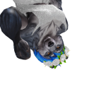 @dramagrls