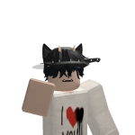 @Rod92s