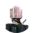 motalgearroy