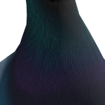 @Ravenella2013