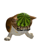 @dinos1226