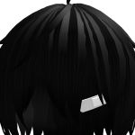 @awkward_penguin73823