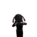 @err0rxii