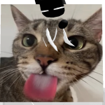 @ABor900