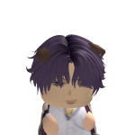 @Hachiroblx