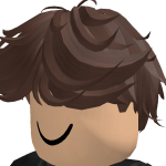 @robloxian011079