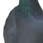 @tybhhghy