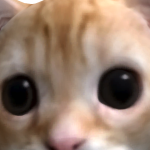 @crakmarquez123