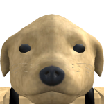 @Benja_Gamer611