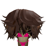 @BrianX06