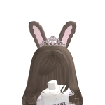 @mybunnywishes