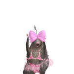@Cool2point13