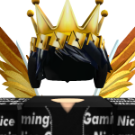 @0_NiceGaming