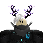 @Entity_roblox400
