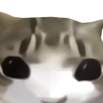 @Saturnlight_cat