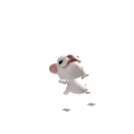@owlfam2307