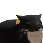 @LunaPlayzRBLX_Yt