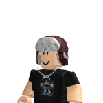 @PurtzleRBLX