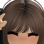 @shnesko