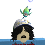@fraudview