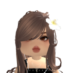 @nissll2