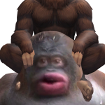 @anikapartystarter