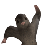 @faze_ikonik01