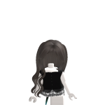 @2806zr