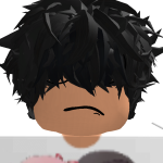 @sonicninja20