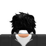 @roblox_user_88264271