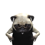 @KingMonkeyMo