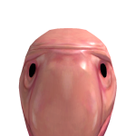 @Le_ButterBoi