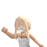 @ChqrieRblx