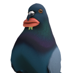 @YaBoyMaxi12
