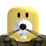 @RBLX_Ra1ds