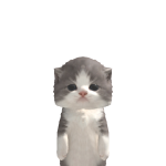 @Kiiiz3n