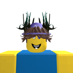 @v0idzg